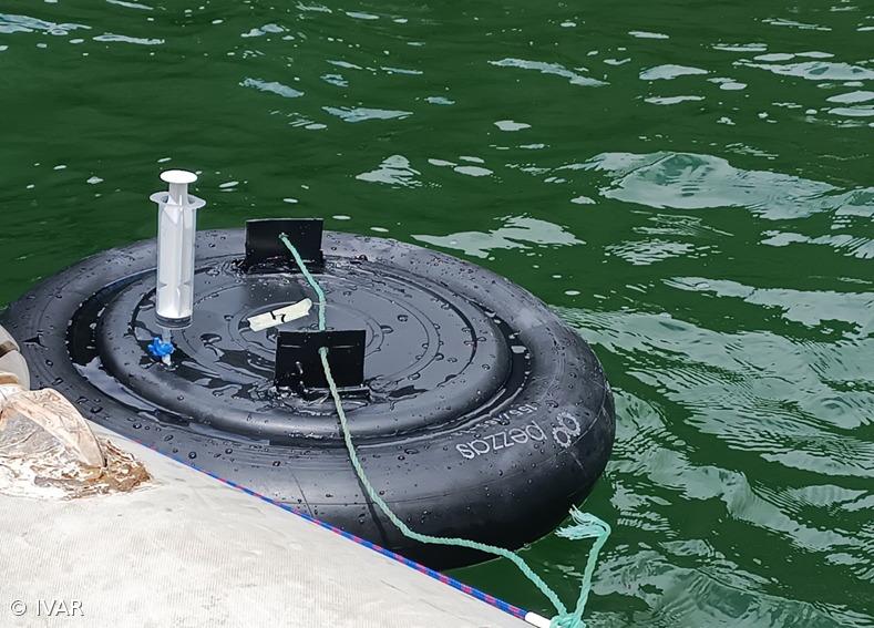 Investigadores desaconselham ingestão de água nas lagoas do Pico – Imagem 1