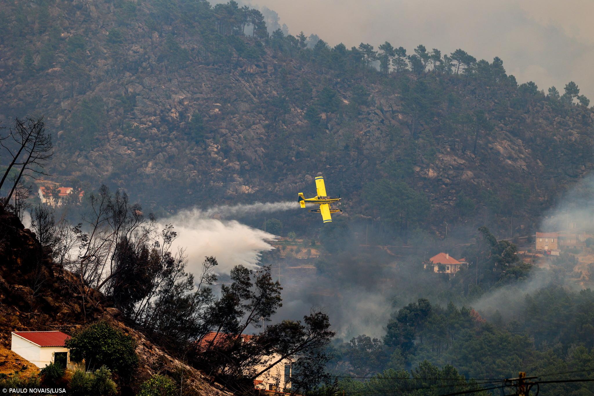 Apoios aos agricultores afetados em 2024 pagos na totalidade – Imagem 1