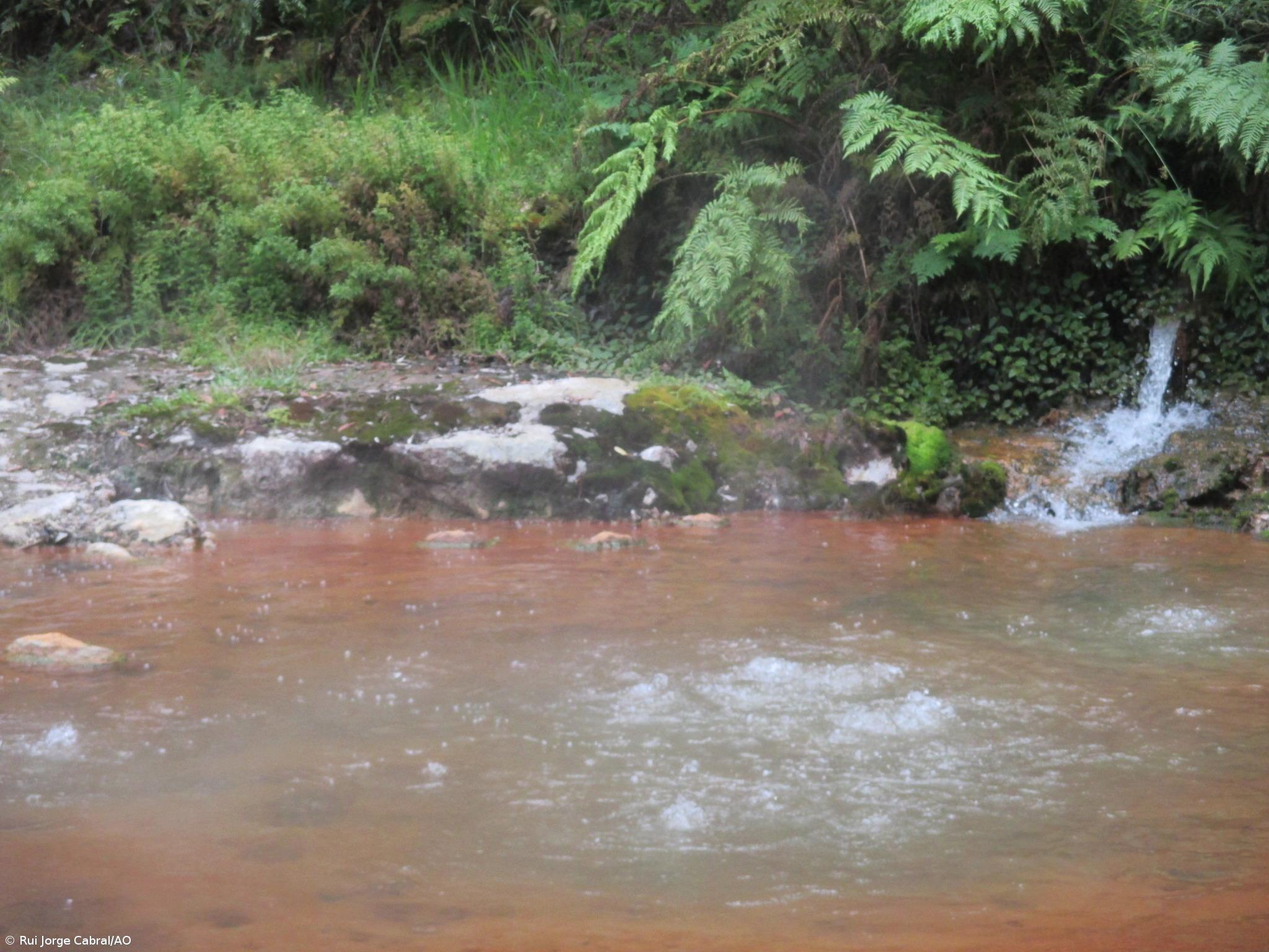 Termalismo nos Açores tem “enorme futuro pela frente”  – Imagem 1