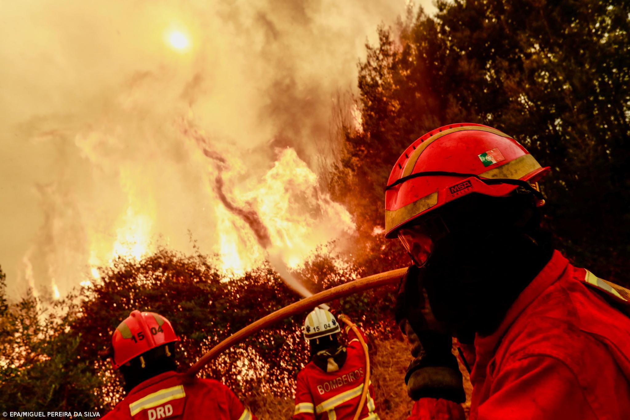 Área ardida no Fundão ultrapassa os 10 mil hectares – Imagem 1