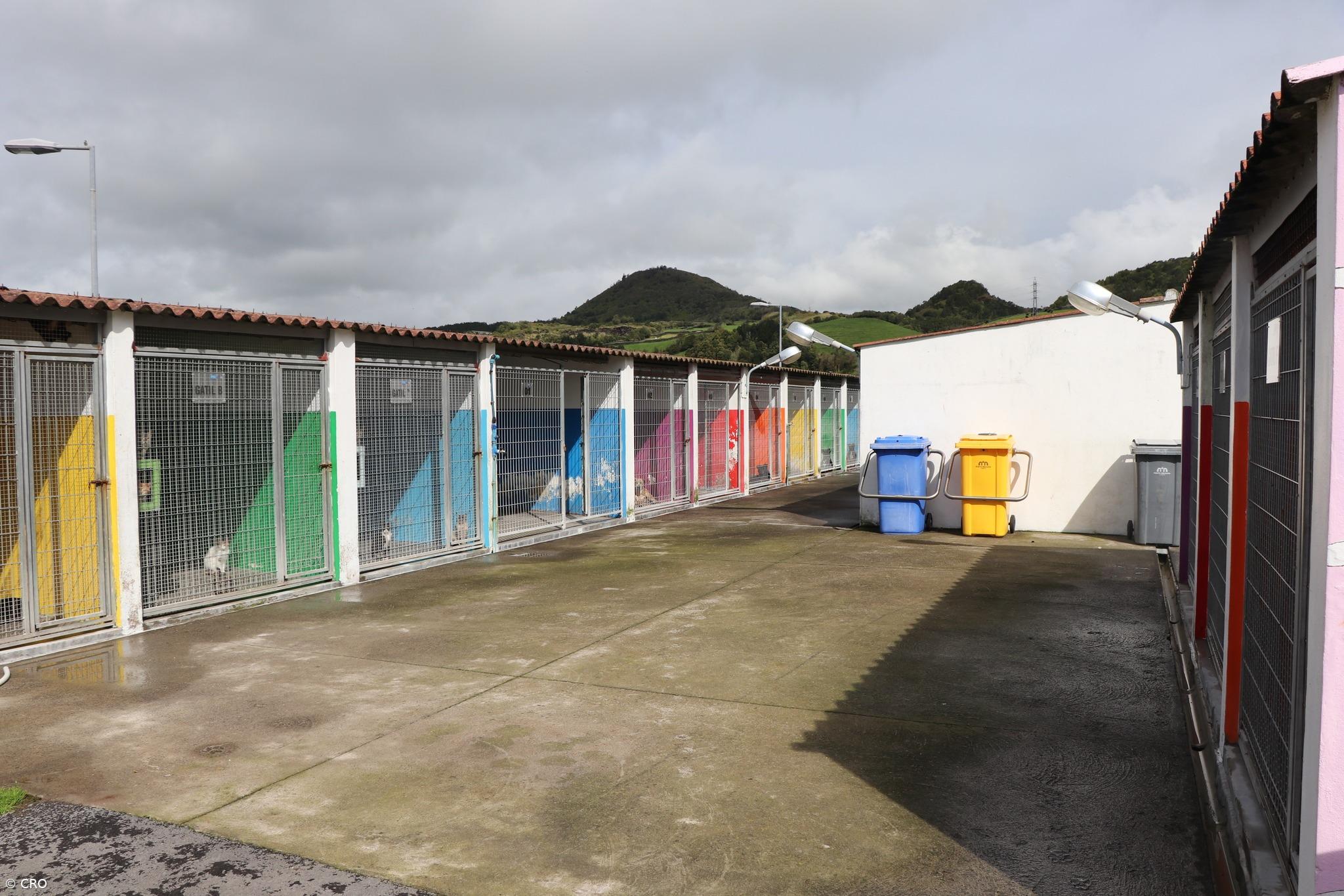 Câmara de Ponta Delgada alerta para tentativa de burla em nome do Centro de Recolha Oficial – Imagem 1