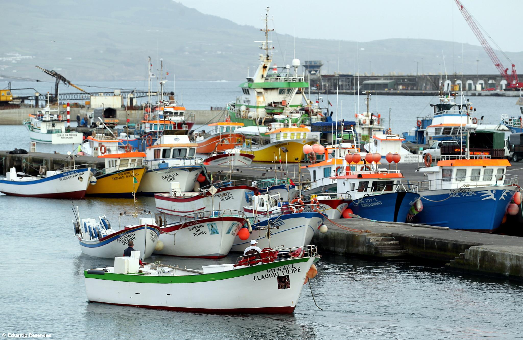Associação alerta para crise “insustentável” na pesca do chicharro em São Miguel – Imagem 1