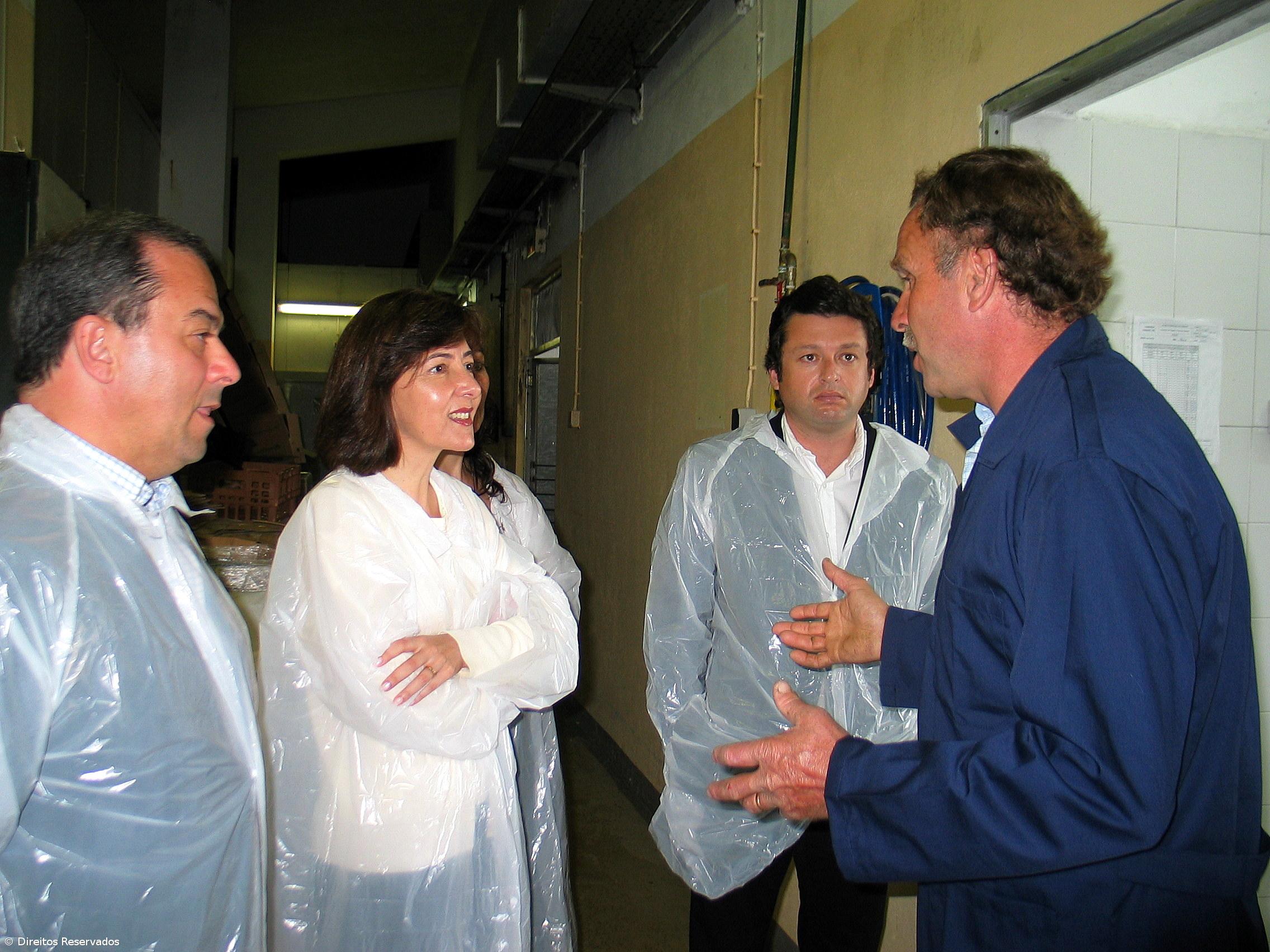 Diversificação é caminho de sucesso para lacticínios – Imagem 1