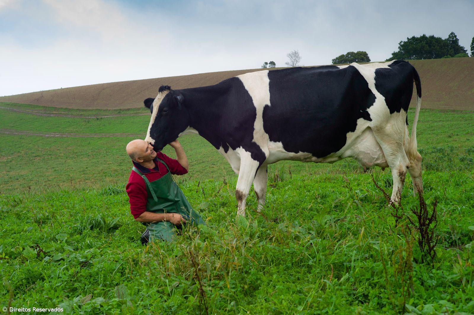 Quinta aproxima turistas e açorianos à vida no campo – Imagem 1