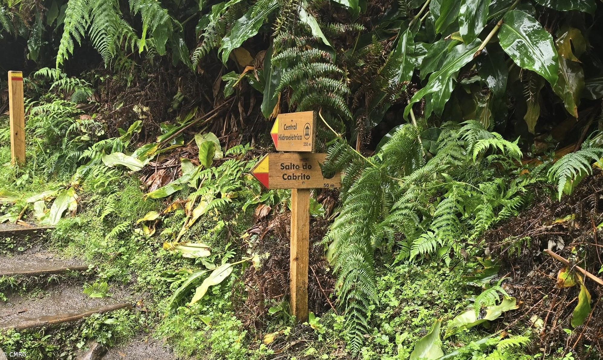 Metade da atividade turística de algumas ilhas dos Açores está ilegal  – Imagem 1