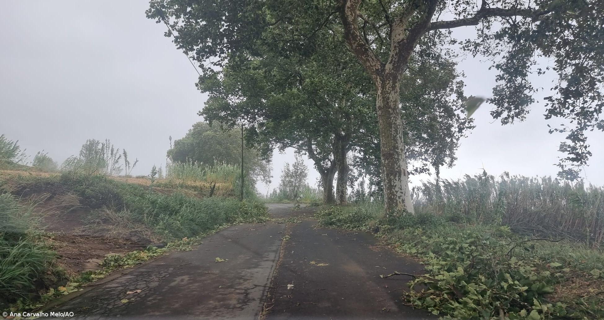 São Miguel e Santa Maria sem “ocorrências de maior” e com “noite tranquila” – Imagem 1