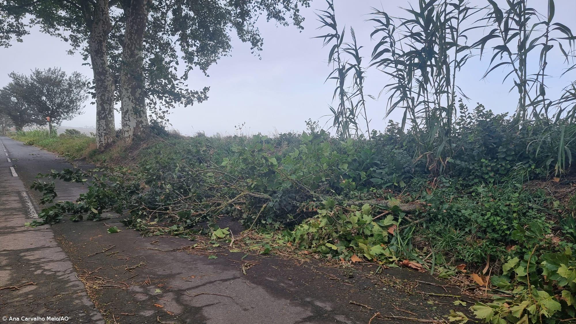 São Miguel e Santa Maria sem “ocorrências de maior” e com “noite tranquila” – Imagem 4