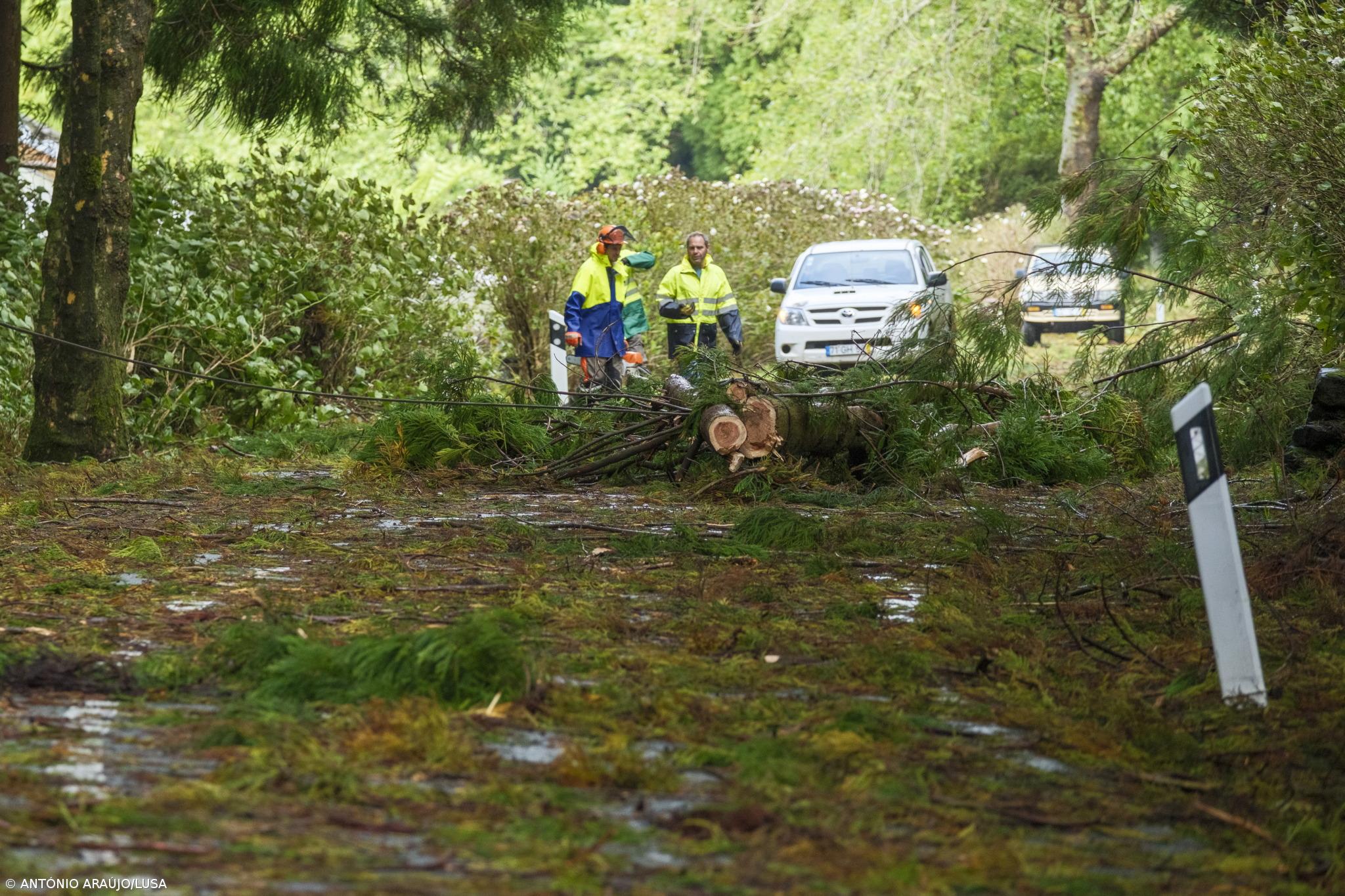Proteção Civil dos Açores regista 196 ocorrências e 16 pessoas realojadas – Imagem 2