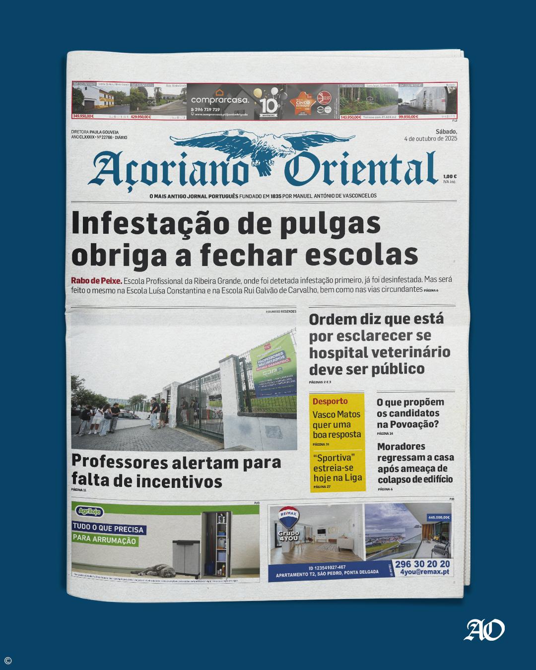 Infestação de pulgas obriga a fechar escolas – Imagem 1