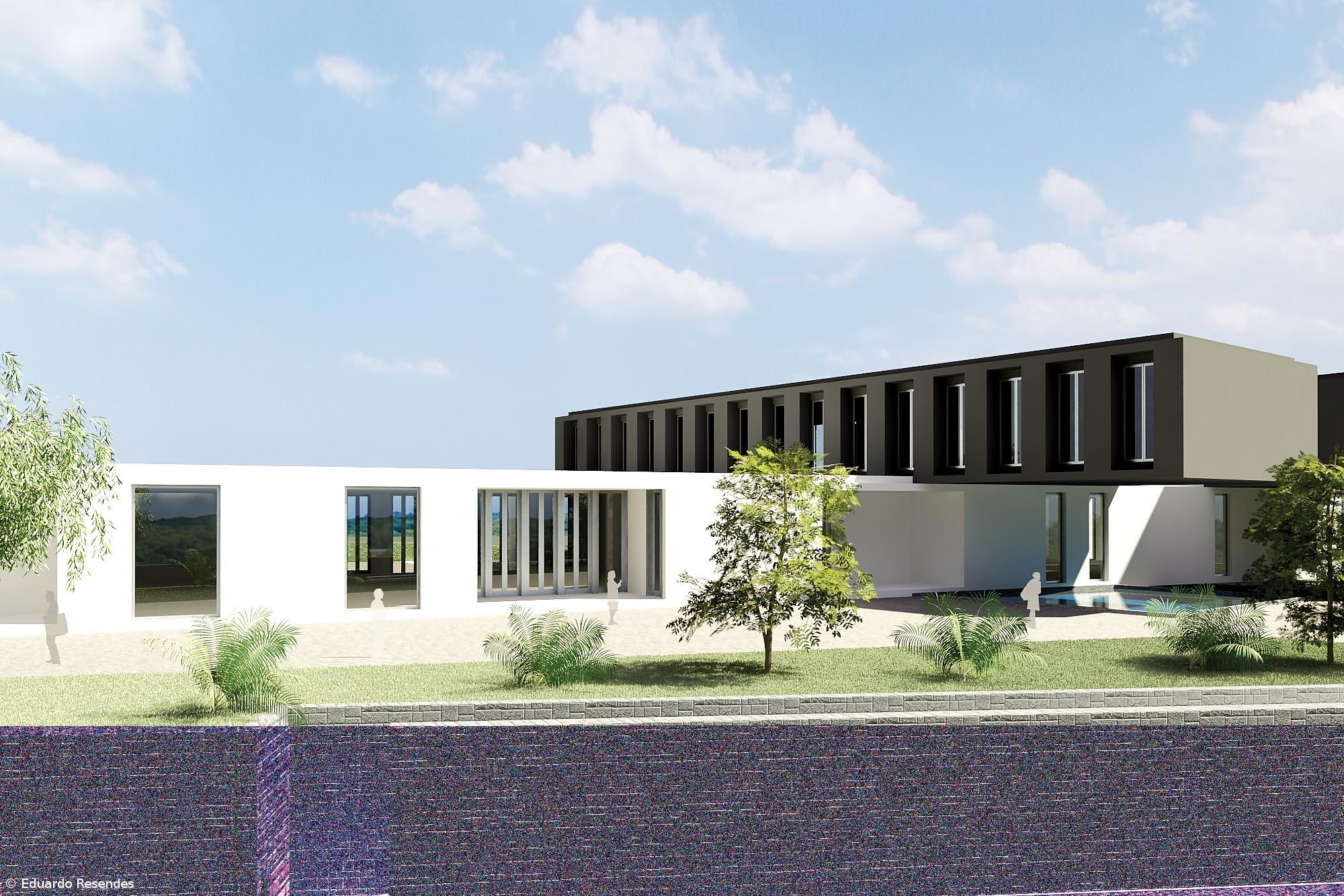 Nova infestação de pulgas junto à Escola Profissional da Ribeira Grande – Imagem 1