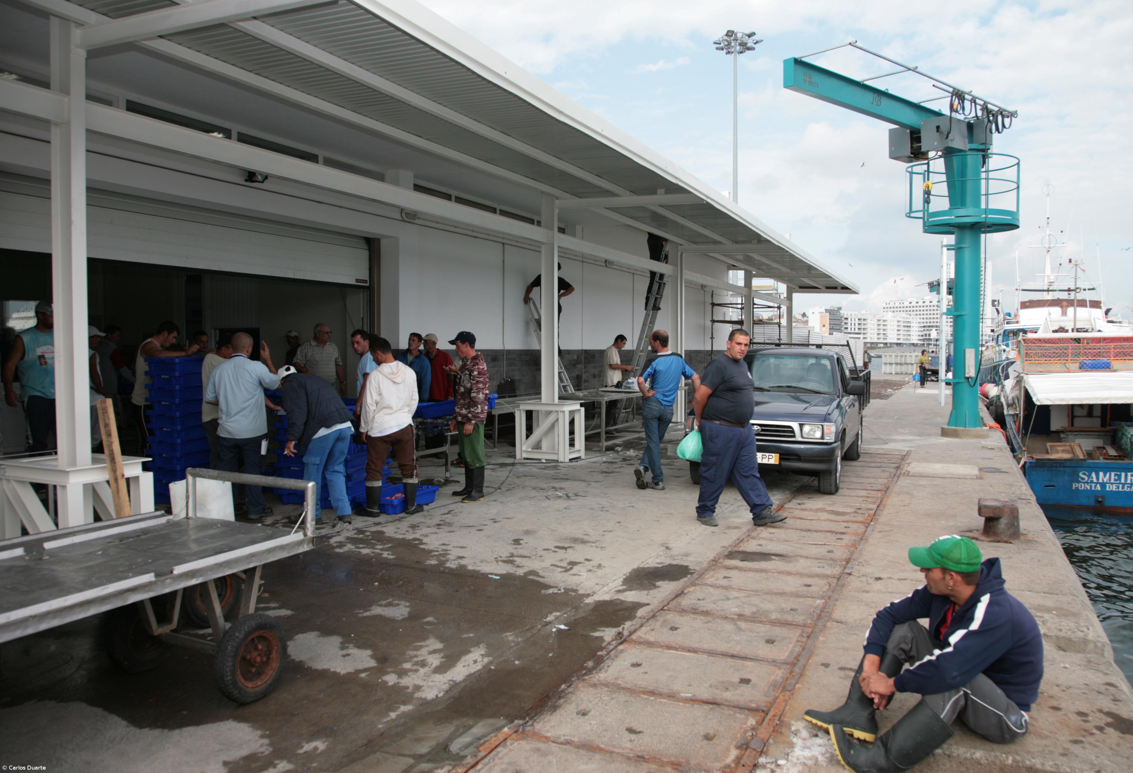 Lotaçor vai começar a comercializar pescado no exterior – Imagem 1