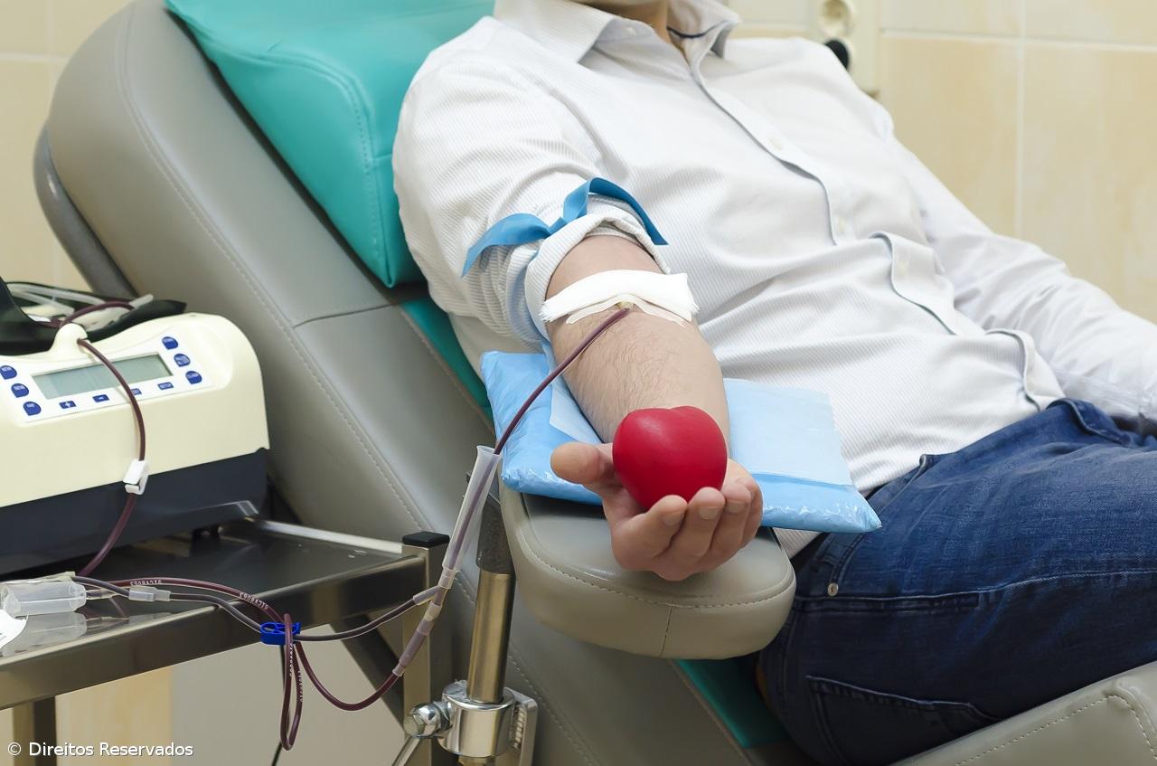 Associação de Dadores de Sangue de São Miguel promove recolha de sangue – Imagem 1