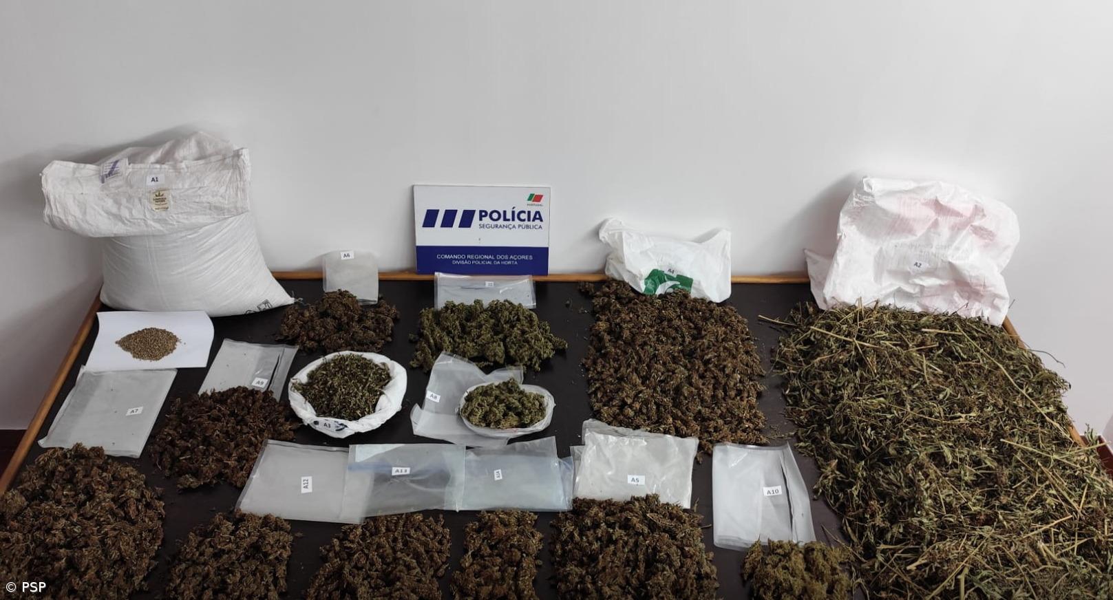 Homem detido no Pico suspeito do crime de tráfico de estupefacientes – Imagem 1