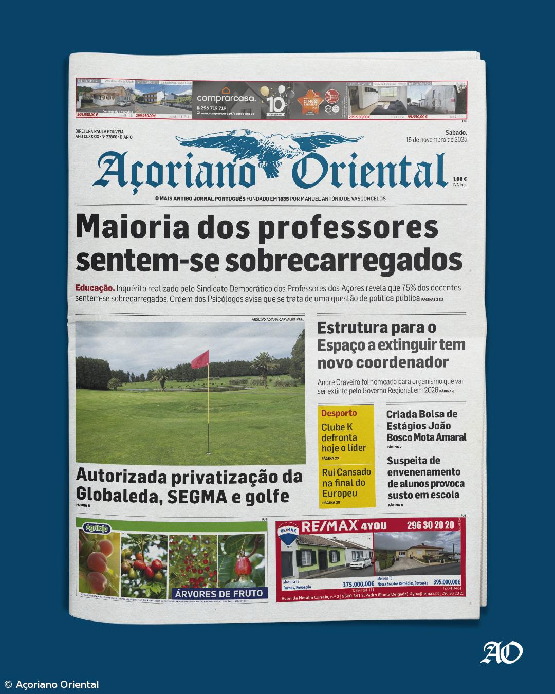 Maioria dos professores sentem-se sobrecarregados – Imagem 1