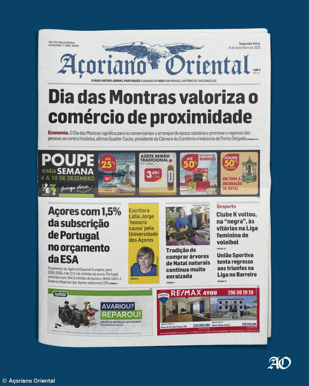 "Dia das Montras valoriza o comércio de proximidade" é a manchete de hoje – Imagem 1
