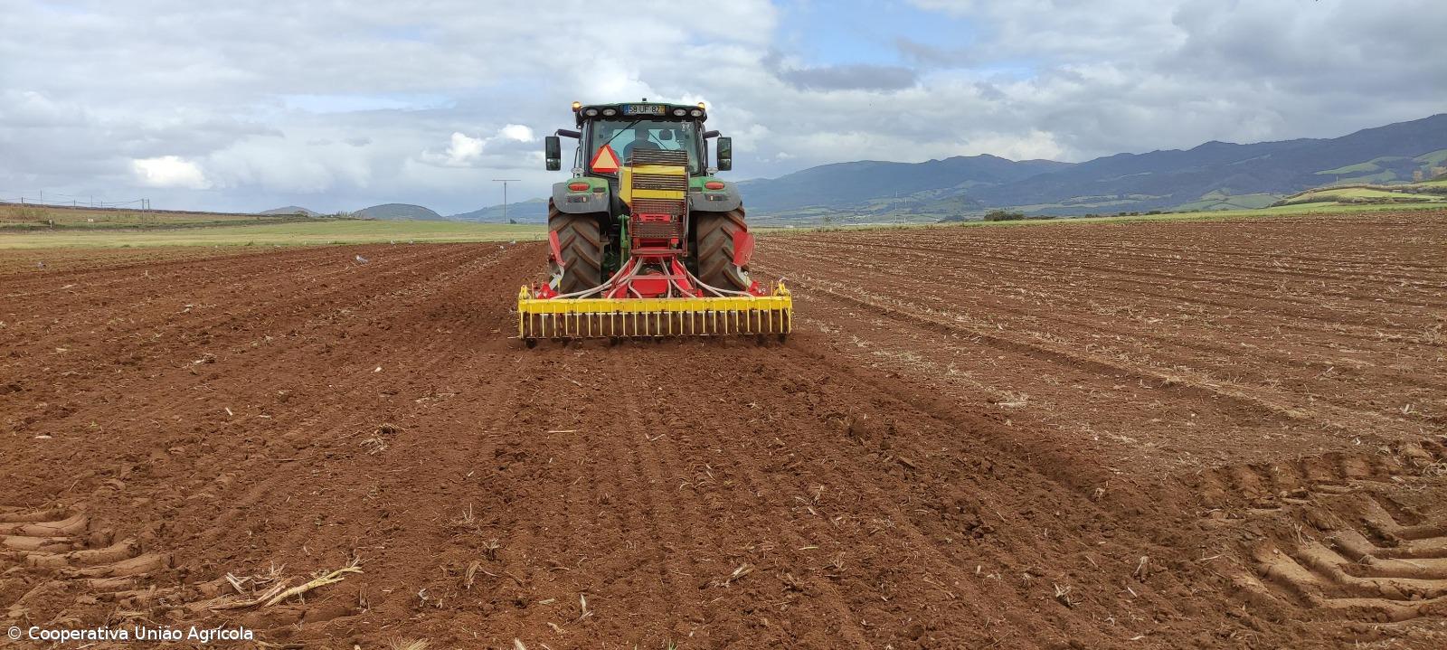 Campos experimentais testam pastagens resistentes a doenças e alterações climáticas – Imagem 1