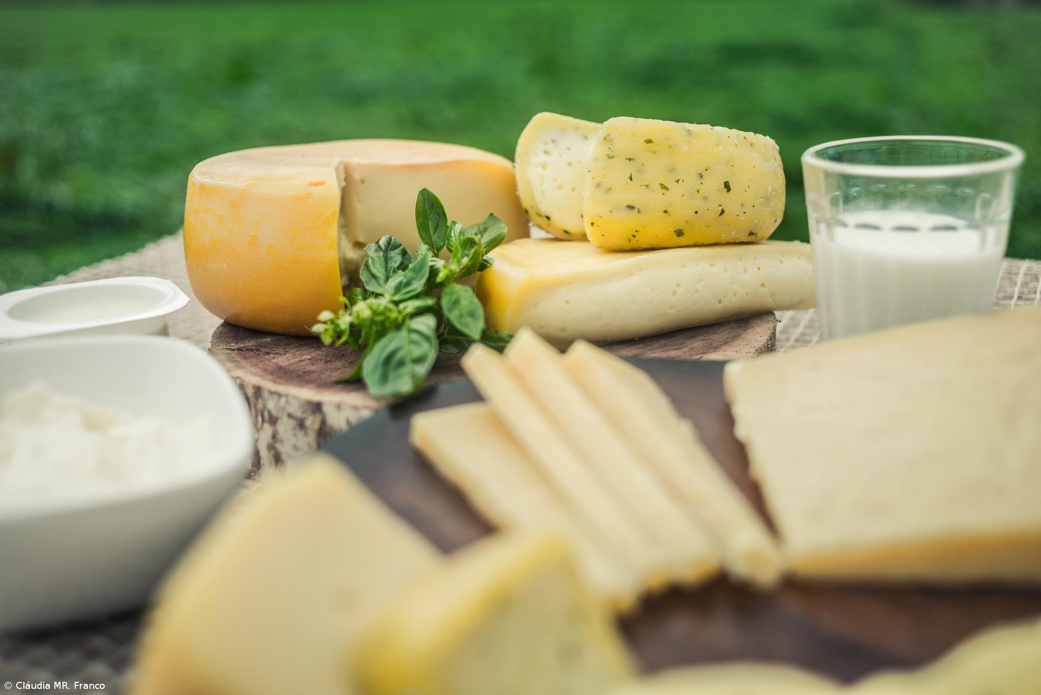 Valor do leite e queijo dos Açores subiu 44% em 10 anos – Imagem 1