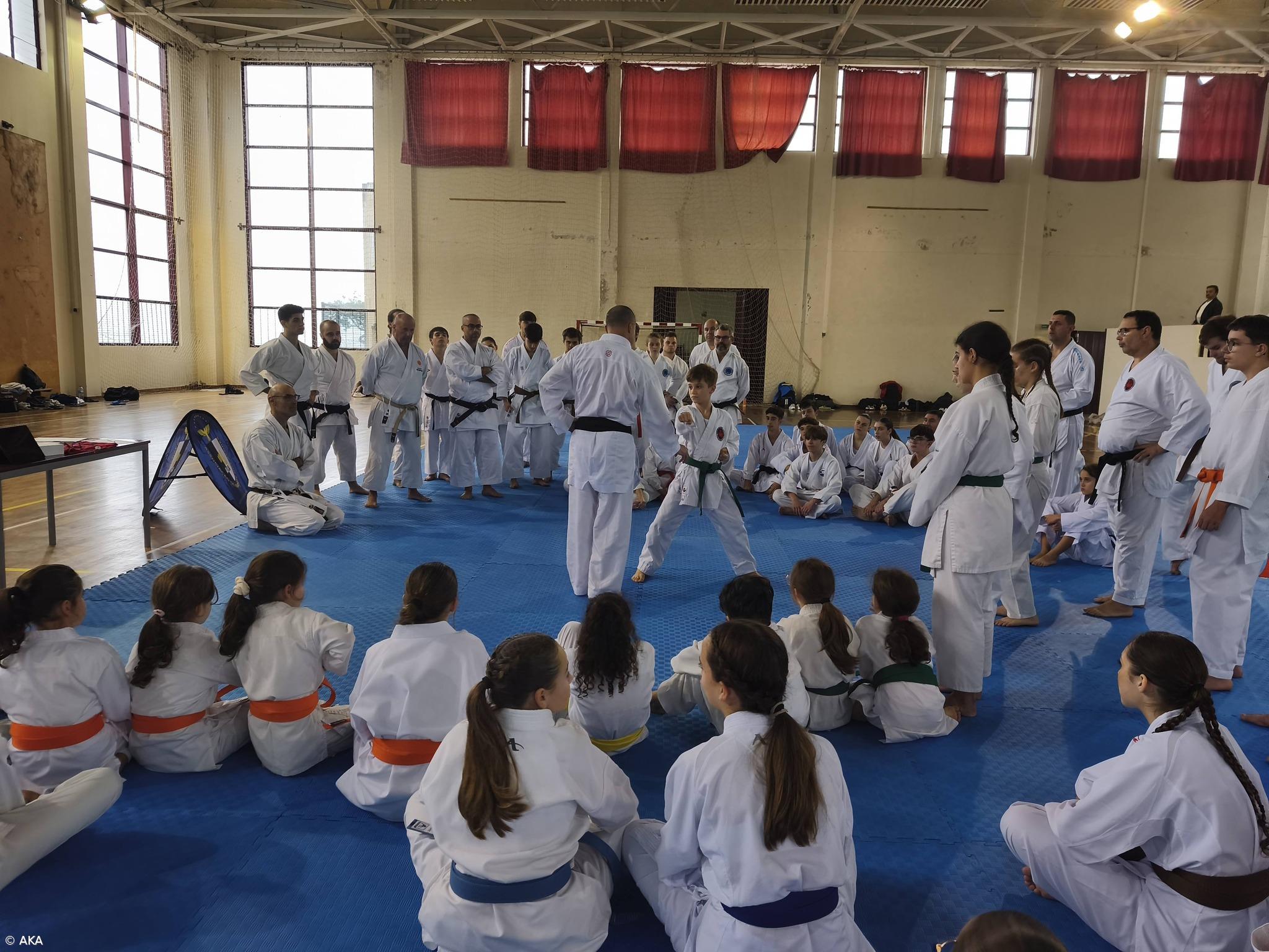 Ação de formação da AKA reúne cerca de uma centena de praticantes – Imagem 1