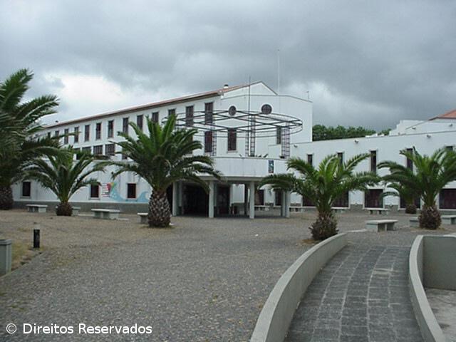 Governo congratula-se com atribuição do selo protetor a escolas – Imagem 1