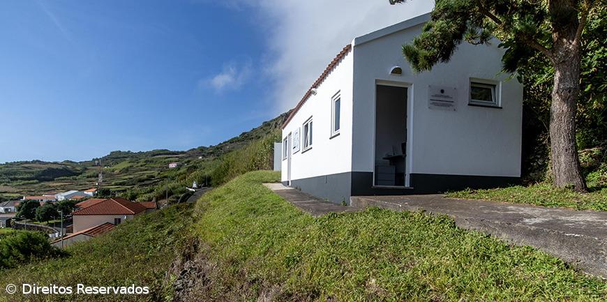 Centros de Reabilitação acolheram mais de 250 aves em 2025 – Imagem 1