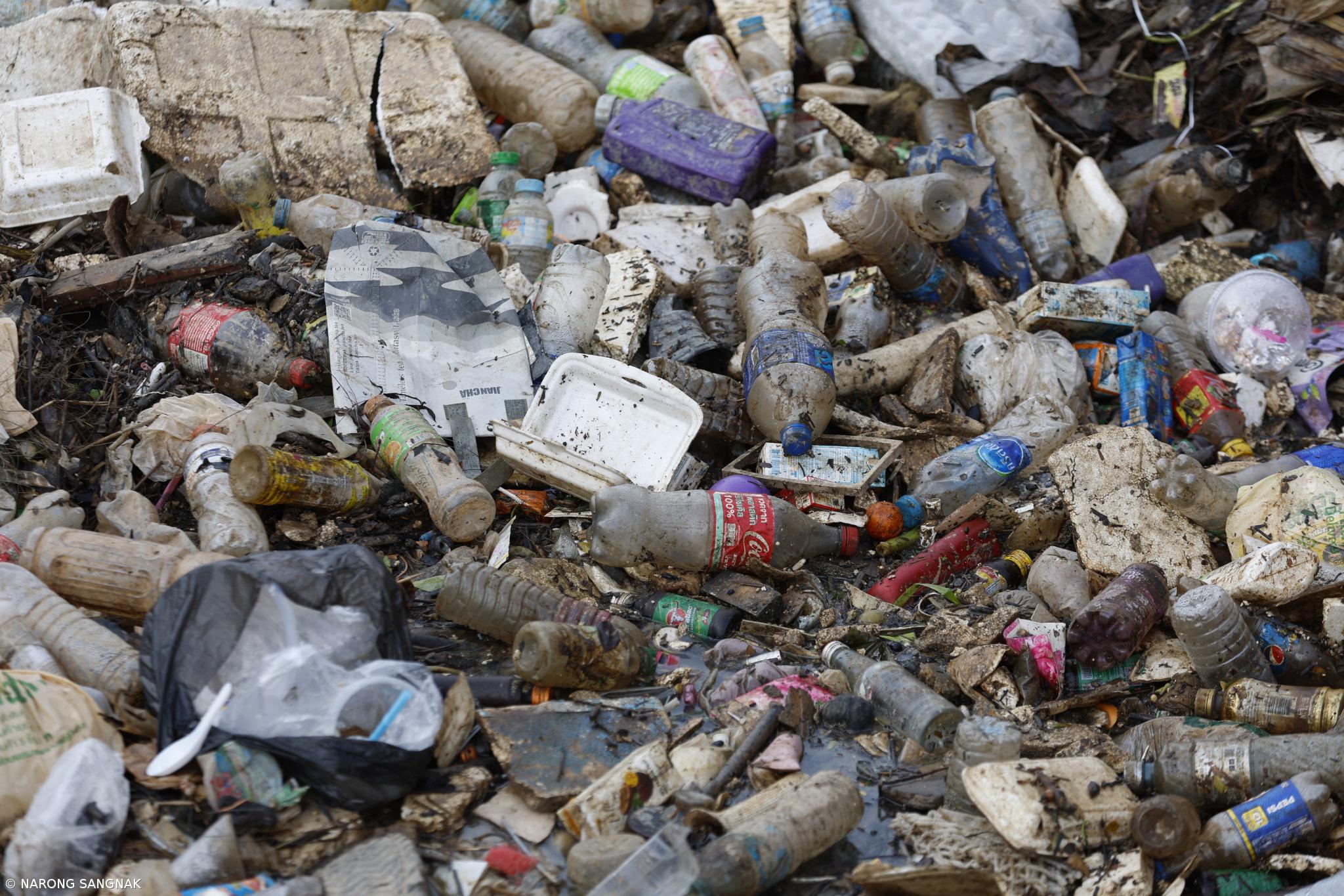 Açores recolhem mais de 115 mil quilos de lixo em ações costeiras e subaquáticas – Imagem 1