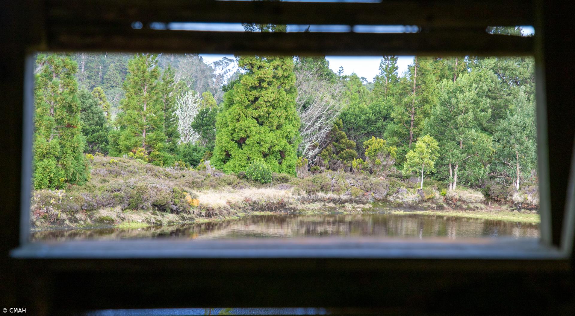 Angra do Heroísmo assinalou ontem o Dia das Florestas e da Árvore – Imagem 1