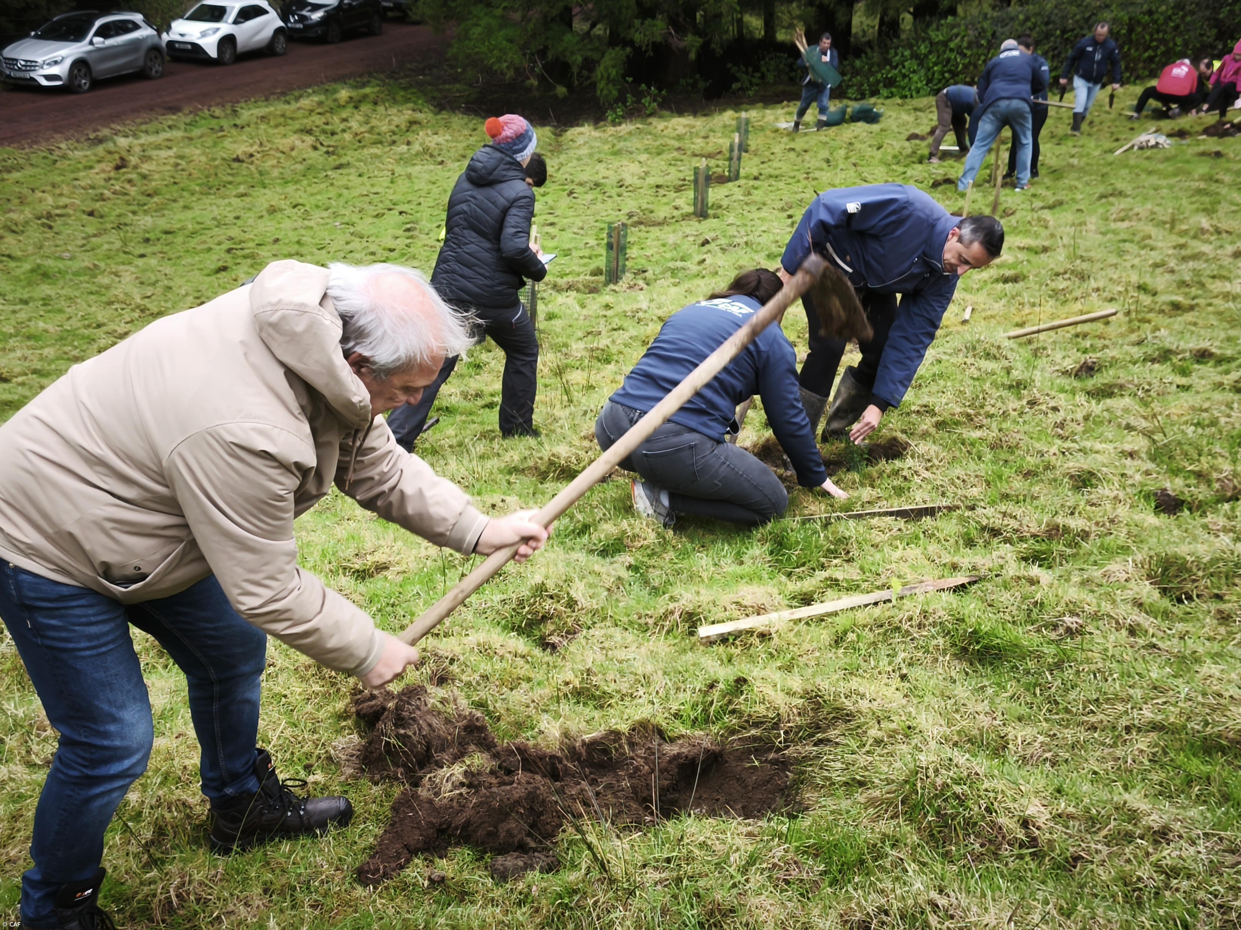 CAF planta 30 árvores para diminuir a pegada ambiental  – Imagem 1