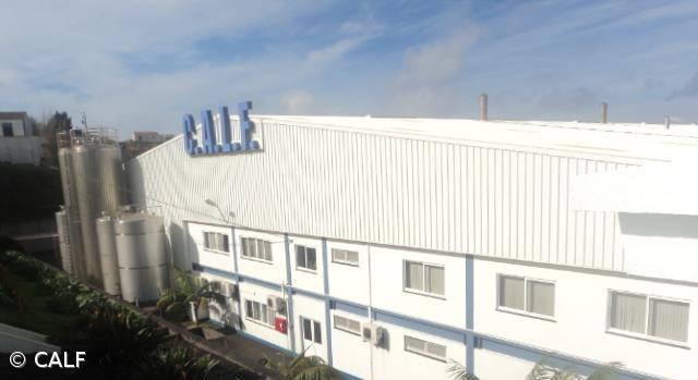 Cooperativa de Laticínios do Faial faz permuta da fábrica para saldar dívidas – Imagem 1