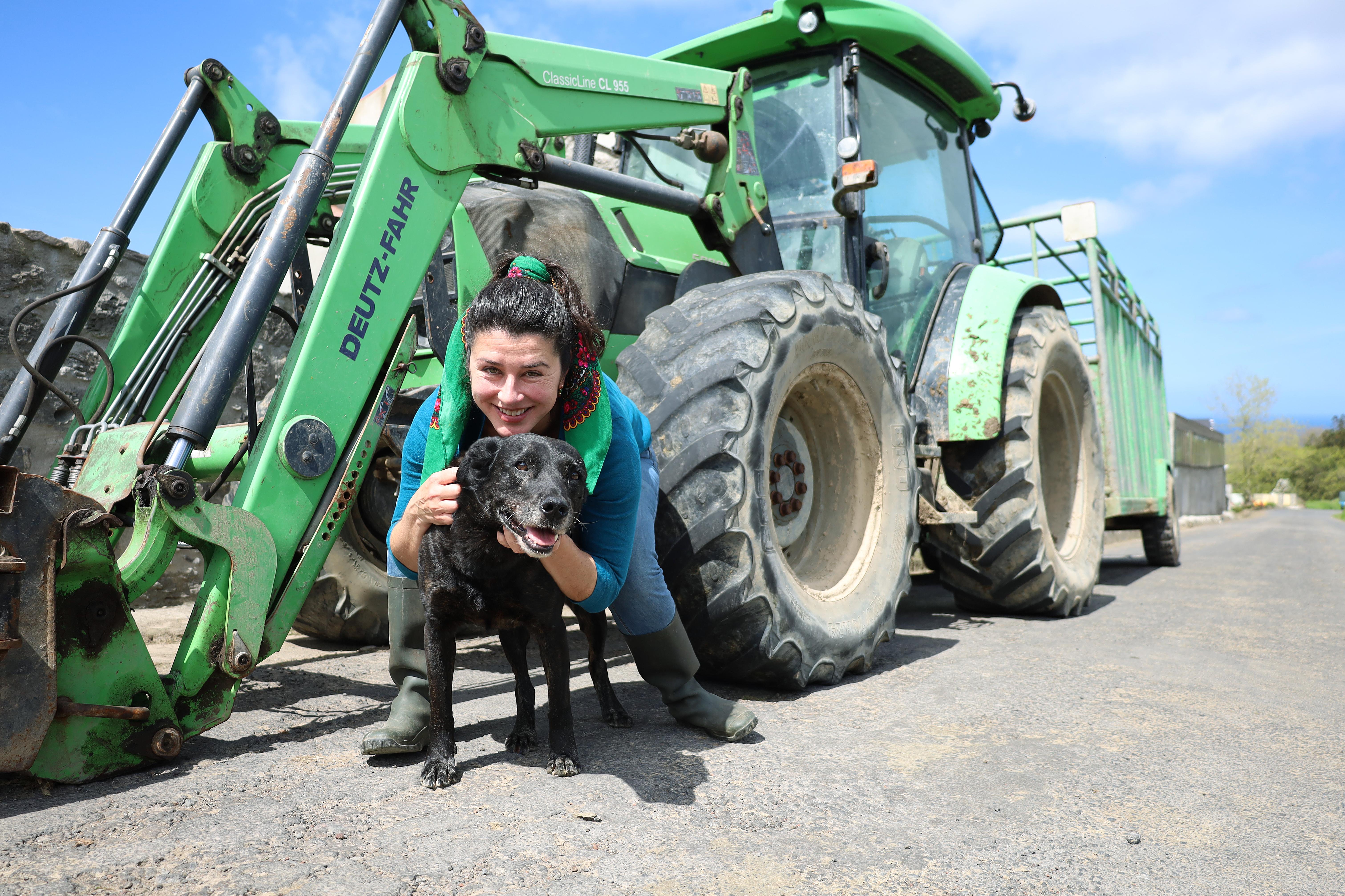 Uma quinta onde o solo, o animal e o humano são vistos como um só (com vídeo) – Imagem 1
