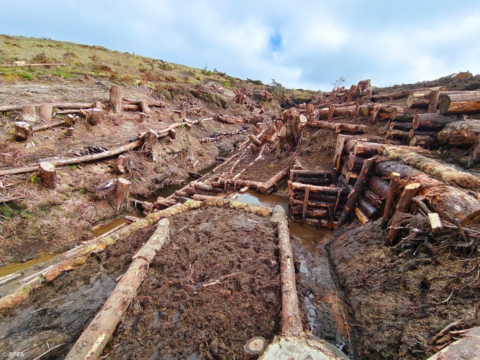 “Muros vivos” ajudam a conter cheias no Nordeste e Povoação – Imagem 1