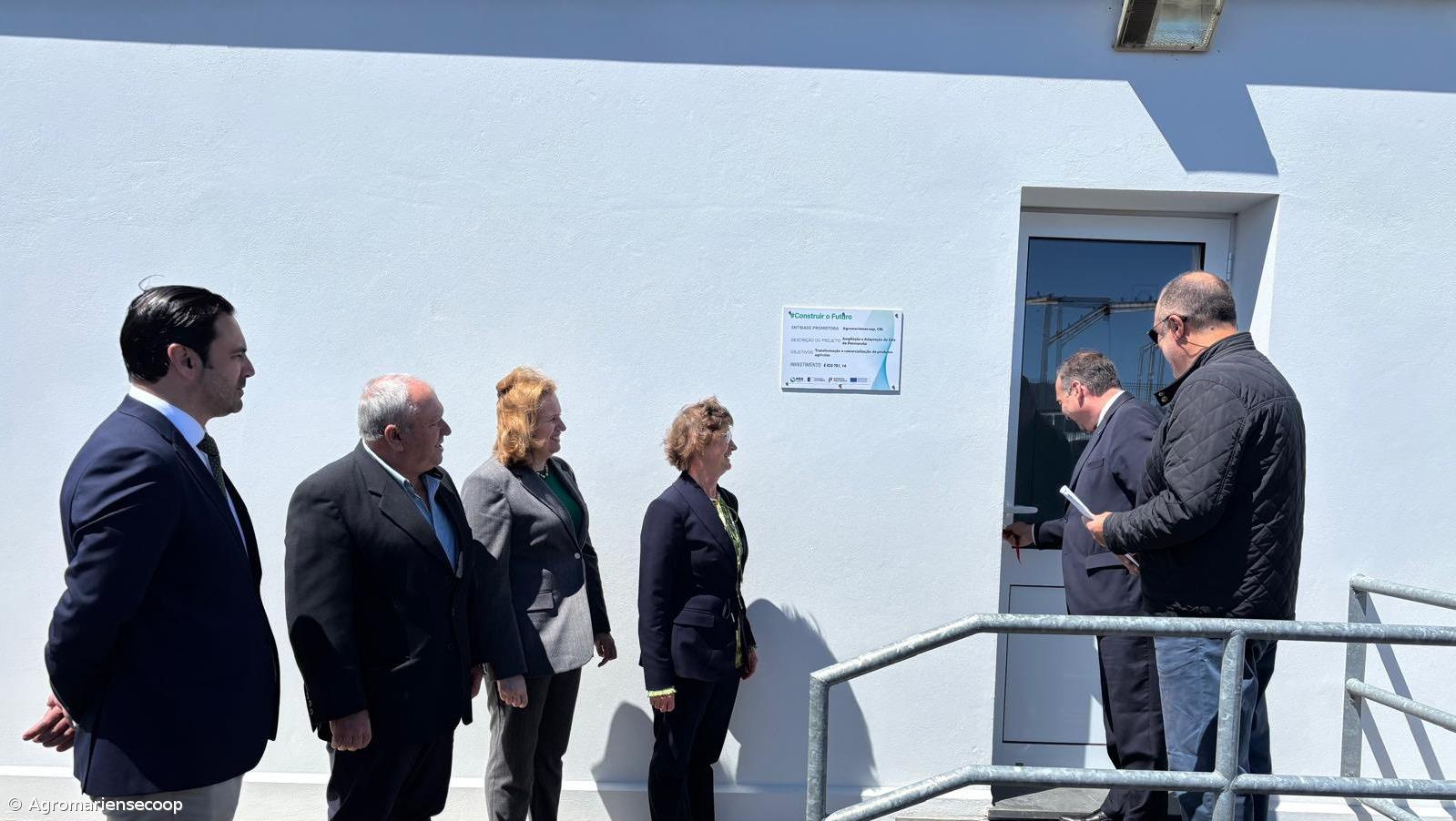 Nova sala de desmancha no Matadouro de Santa Maria reforça valorização da carne açoriana – Imagem 1