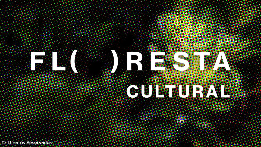 Projeto Floresta Cultural apresentado domingo nos trilhos das Calhetas – Imagem 1