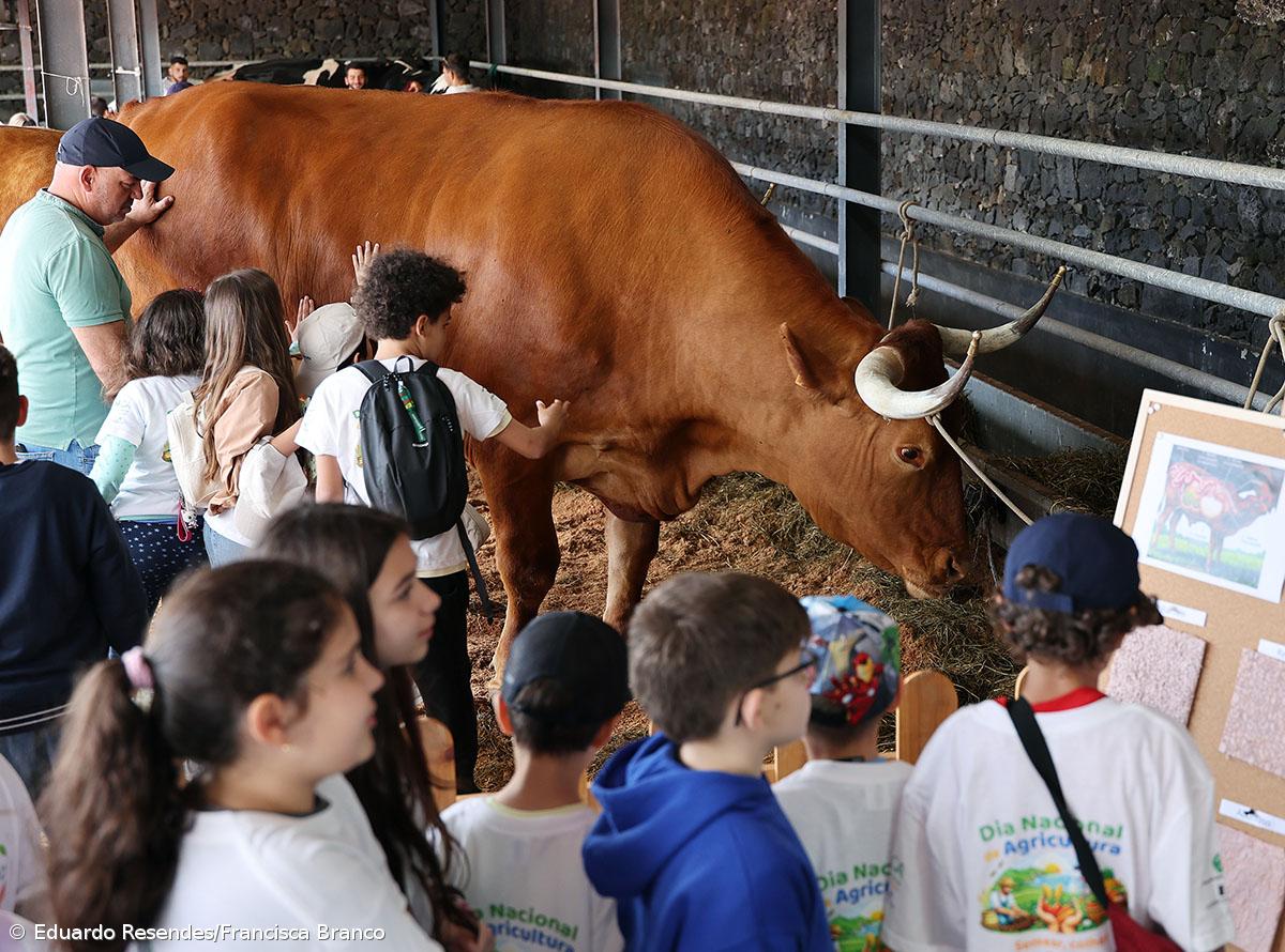 Milhares de crianças invadiram a Feira Agrícola (Com fotos) – Imagem 1