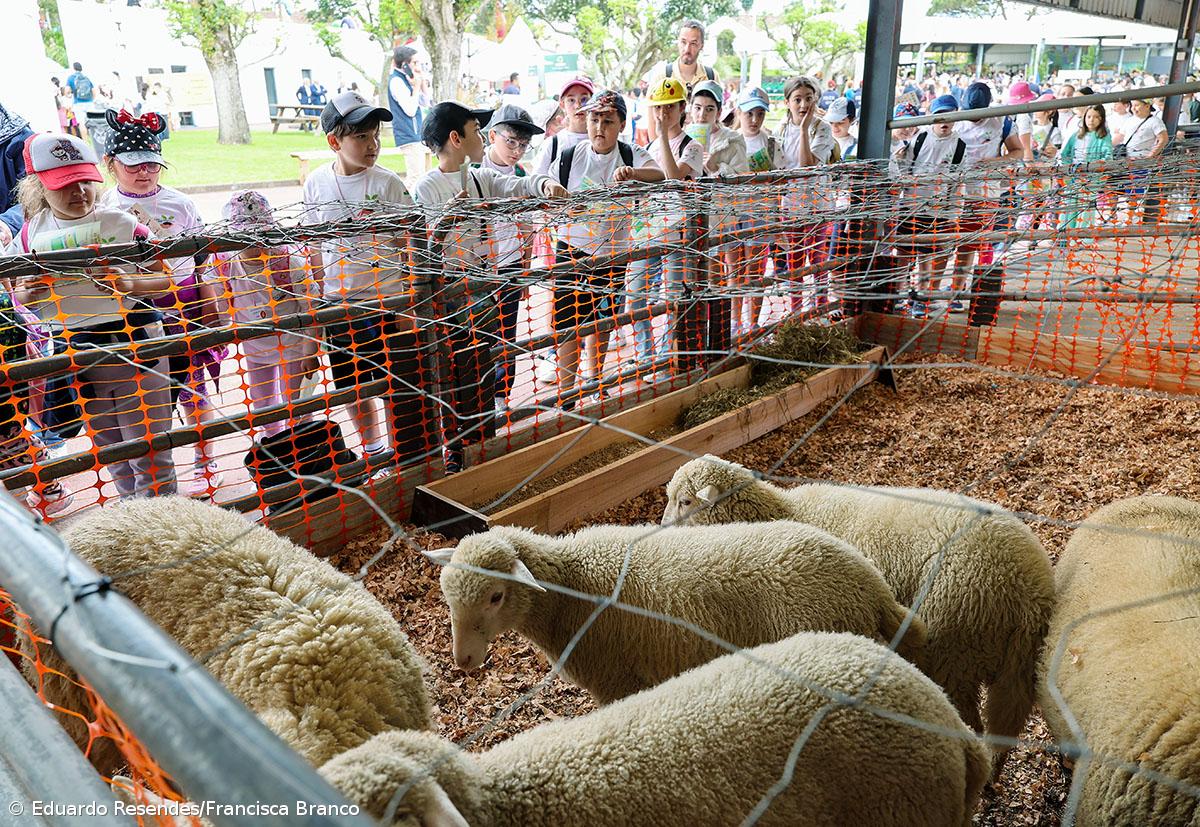 Milhares de crianças invadiram a Feira Agrícola (Com fotos) – Imagem 5