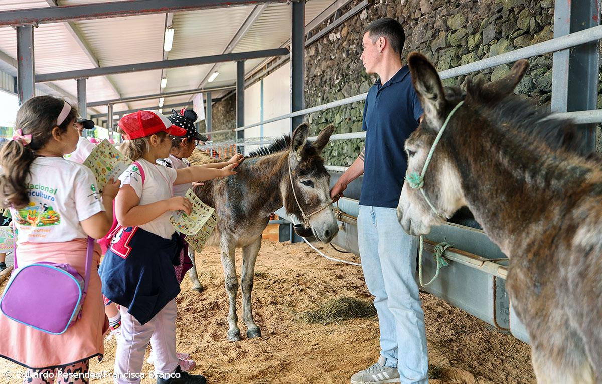 Milhares de crianças invadiram a Feira Agrícola (Com fotos) – Imagem 6