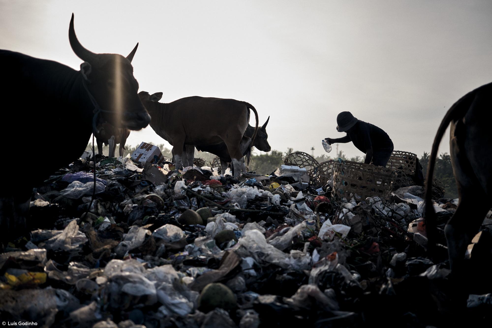 ‘Garbage in Paradise’ inaugura hoje – Imagem 1