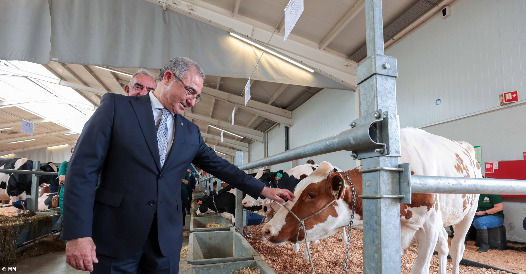 Bolieiro diz que usou "dureza das palavras" para reivindicar apoios para agricultores açorianos – Imagem 1
