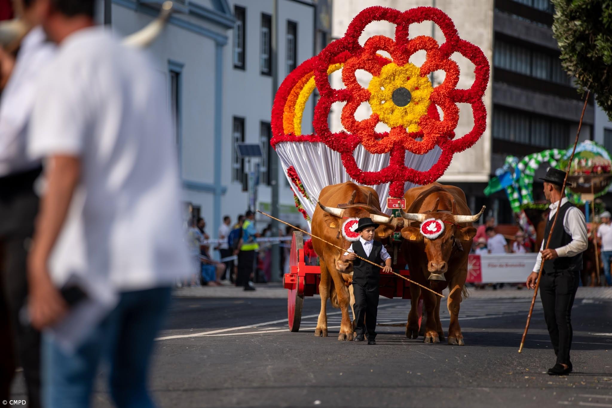 Ponta Delgada volta a encher-se para celebrar o Divino Espírito Santo – Imagem 4