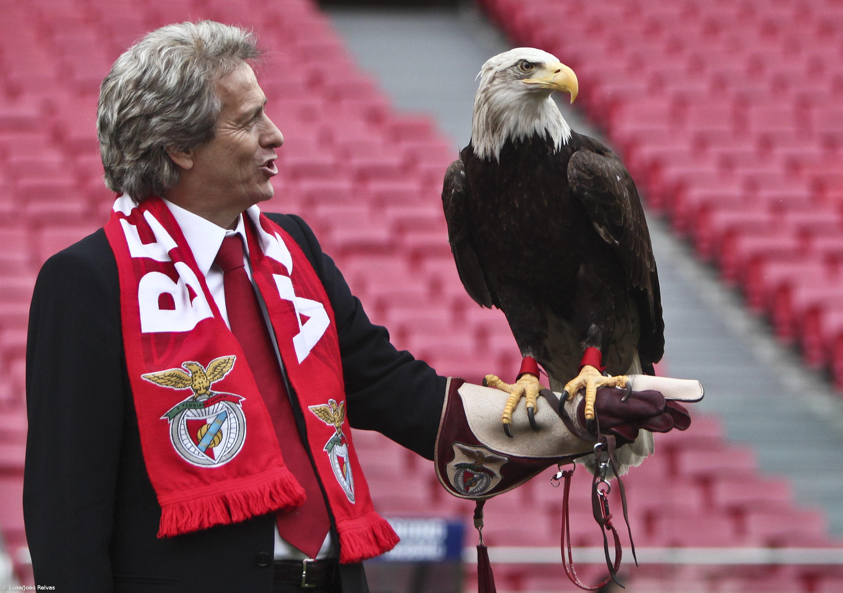 Benfica estreia-se no Grupo B da Liga dos Campeões – Imagem 1