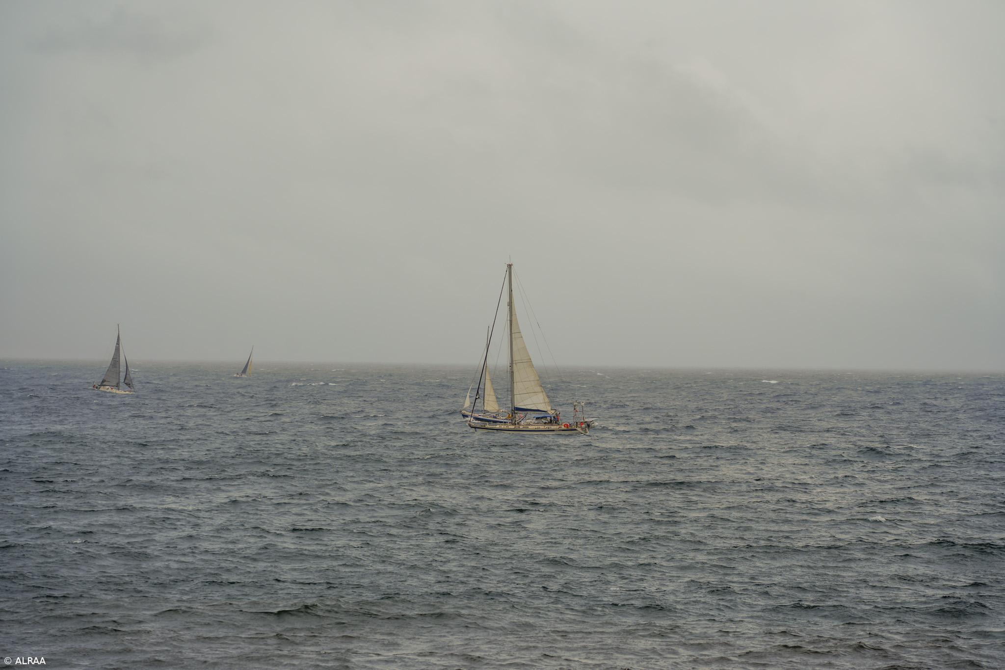 Veleiros da Atlantis Cup - Regata da Autonomia rumam à Terceira – Imagem 1