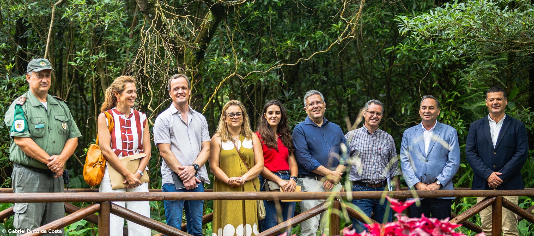 Novo jardim vai preservar 400 variedades de Camélias – Imagem 1