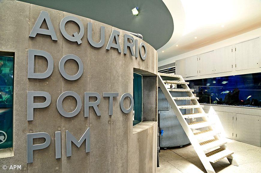 Aquário de Porto Pim reabre ao público na ilha do Faial após requalificação – Imagem 1