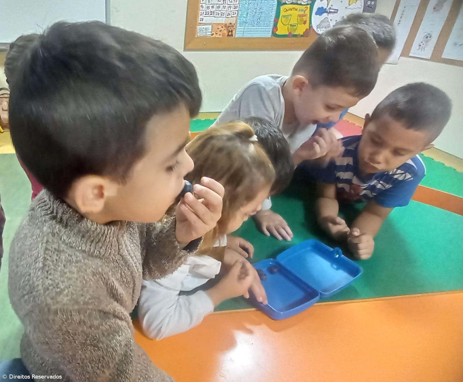 71 escolas açorianas participaram no projeto – Imagem 1