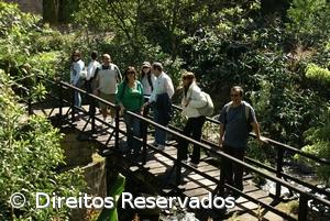 Associação critica falta de manutenção de trilhos de São Miguel – Imagem 1
