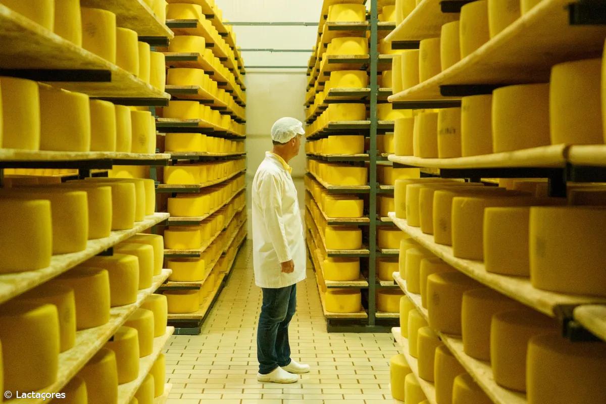 Queijo de São Jorge enfrenta crise de crescimento – Imagem 1