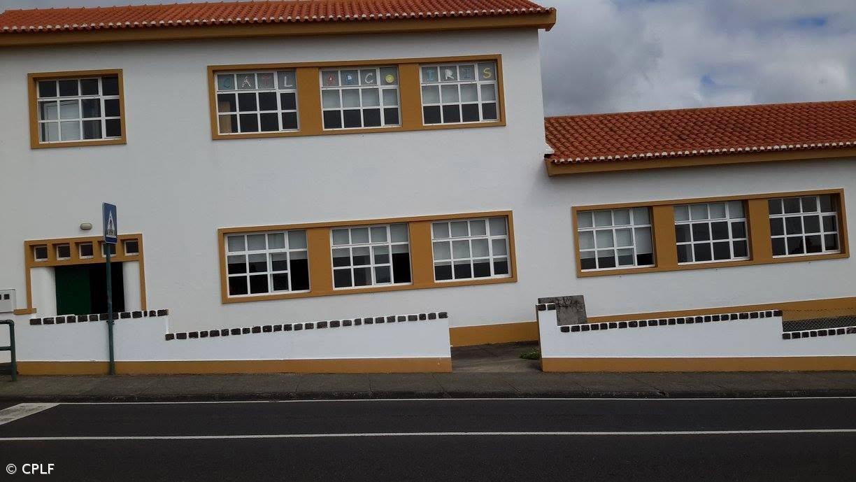 Denunciante diz que queixa de maus tratos chegou à PSP por sua iniciativa – Imagem 1