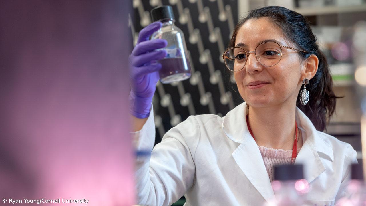 “Há um enorme potencial para a astrobiologia por explorar nas Furnas” – Imagem 1