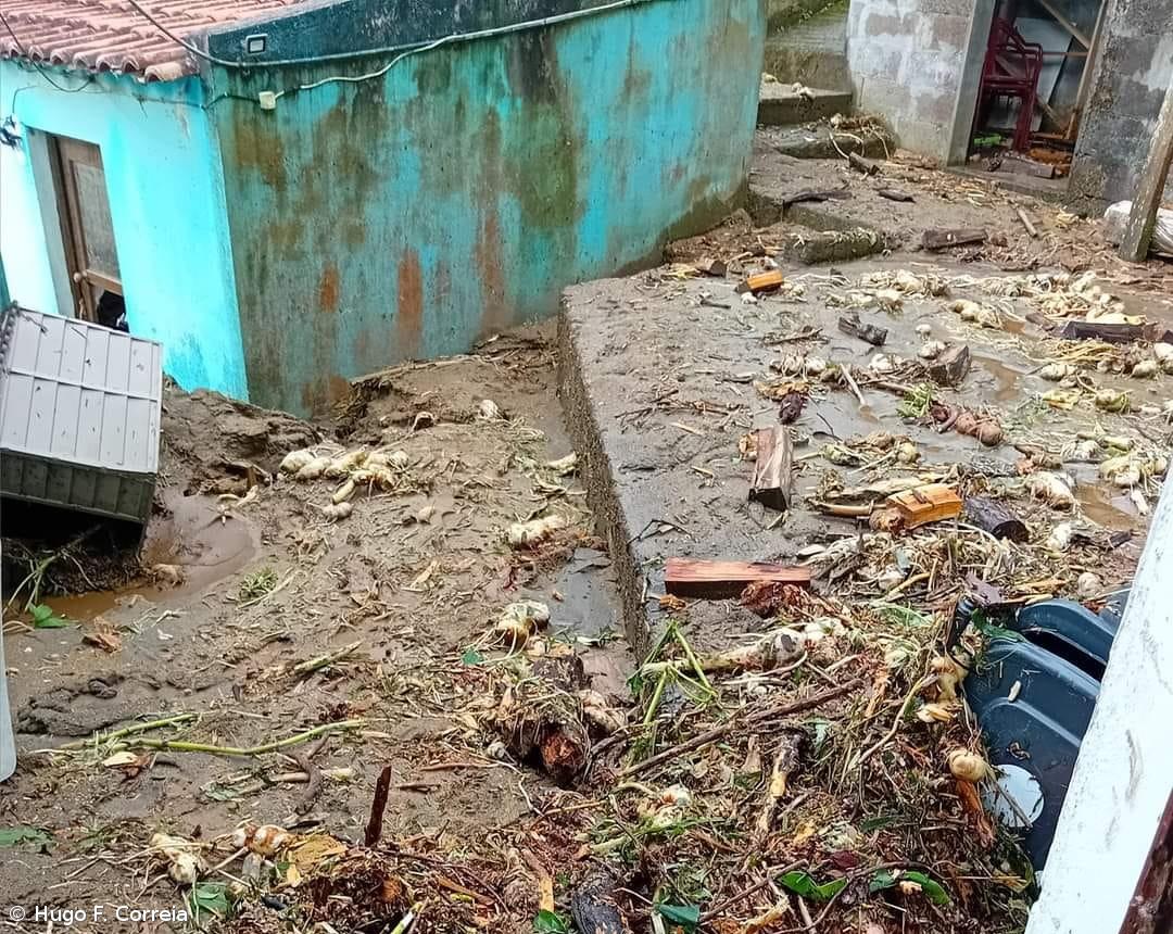 Supremo dá razão a seguradora em caso de habitação inundada – Imagem 1