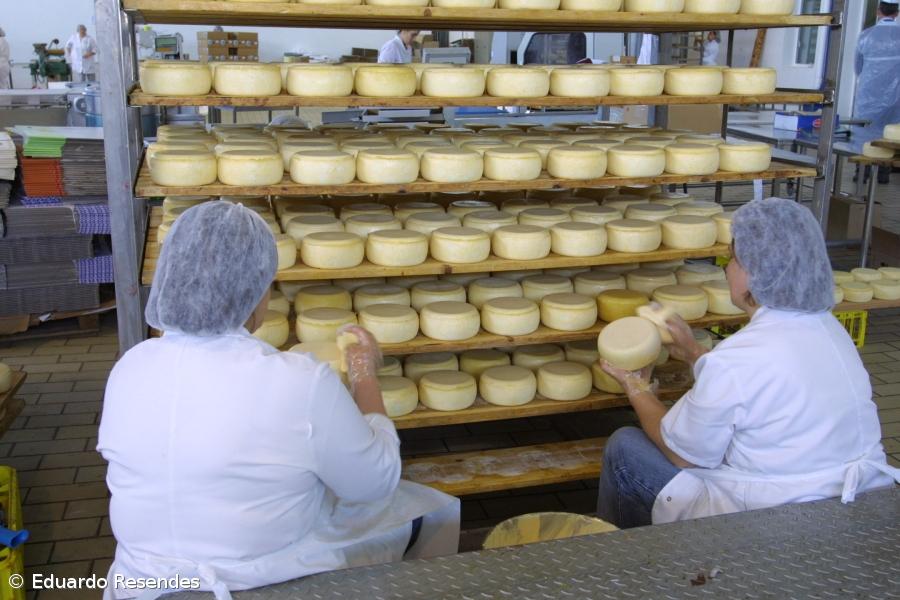 Produção de queijo aumentou 7,3% até agosto – Imagem 1