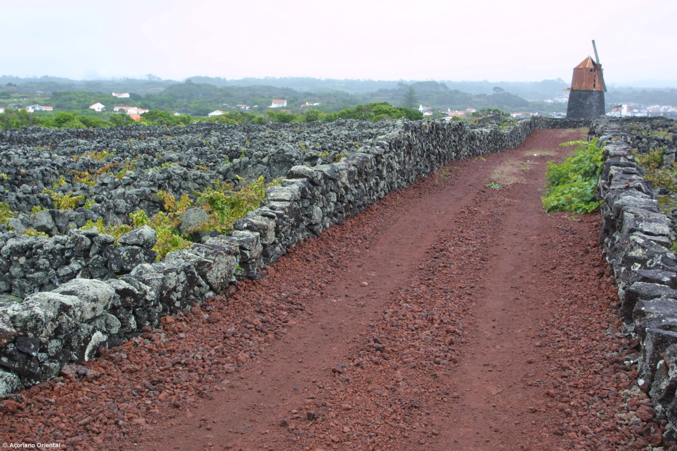 Das mais-valias do Pico e do Faial – Imagem 1
